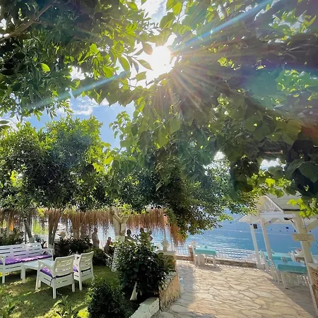 Kiyi Otel *