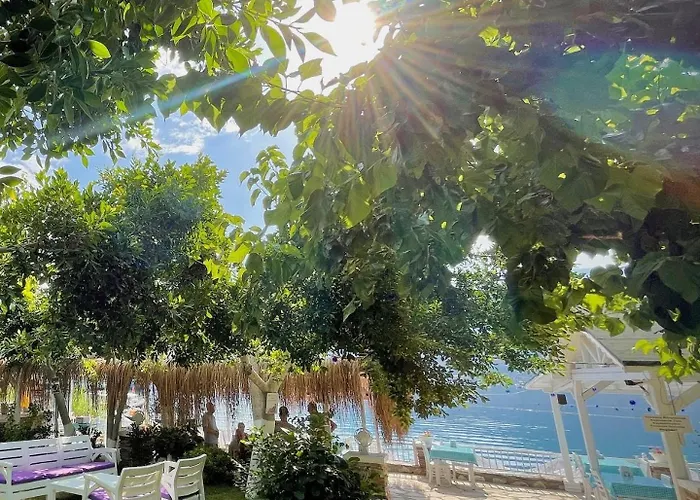 Kiyi Ξενοδοχείο *